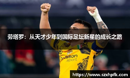 bsports官网入口