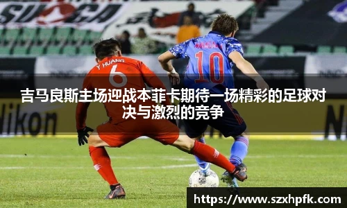 bsports登录入口