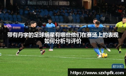 带有丹字的足球明星有哪些他们在赛场上的表现如何分析与评价